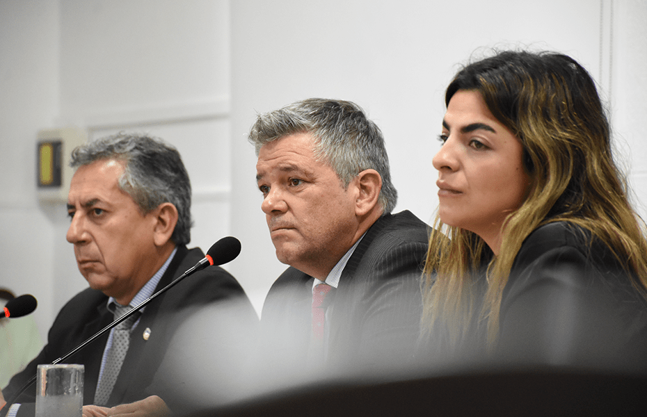 Concejo Deliberante de Río Cuarto - Sesión ordinaria n° 161