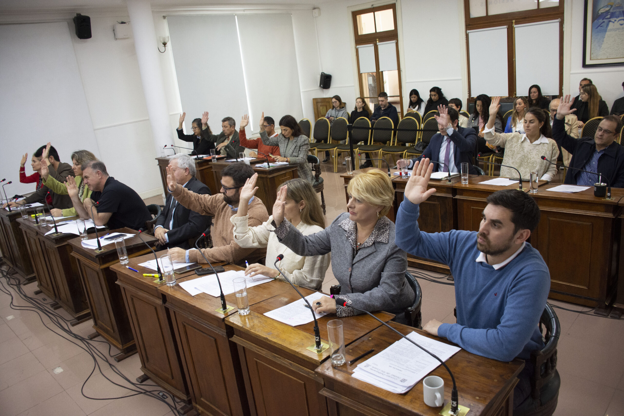 PREOCUPACIÓN POR LAS AUDITORIAS EN DISCAPACIDAD