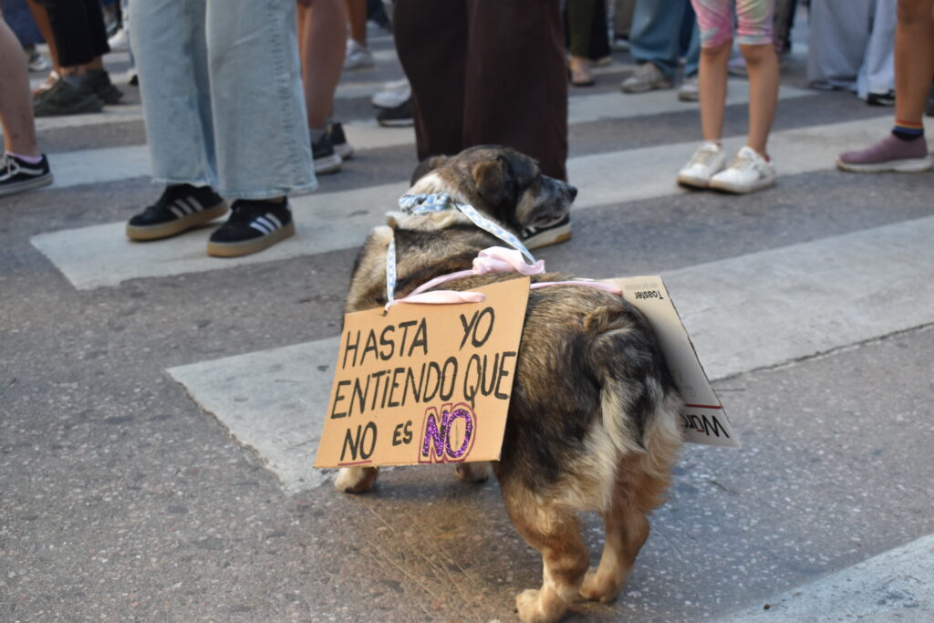 CONCURSO JOSÉ LUIS CABEZAS 2025 NO es NO - 8M PATICIPANTE: ADRIANA MOYETTA